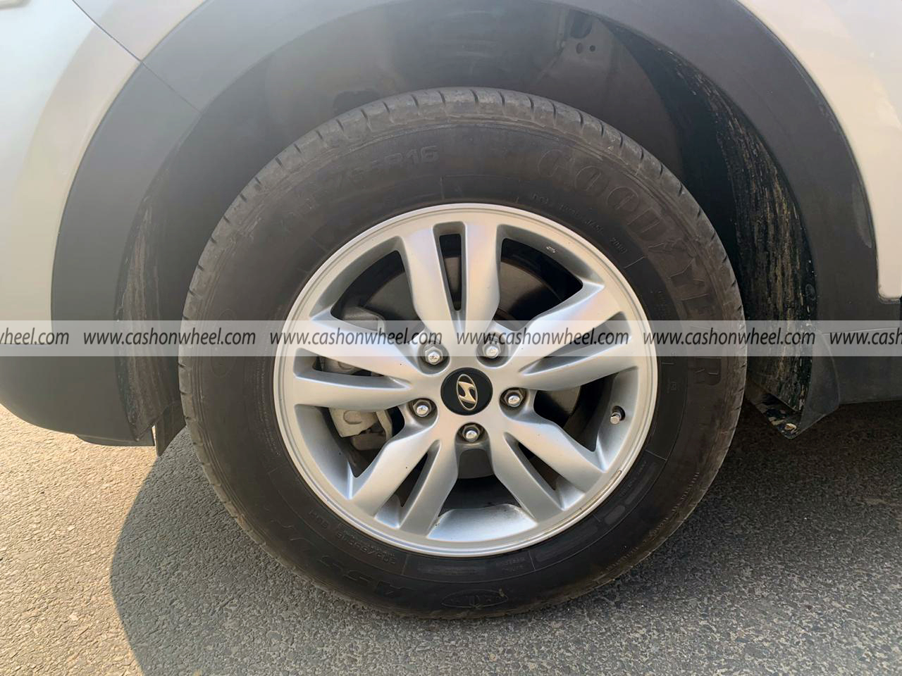 Cash on Wheel